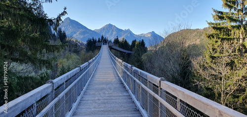 A beautiful bridge between mountains