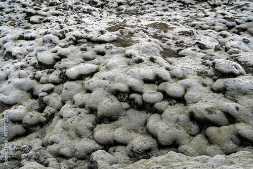 Scenic landscape of mossy lava field against overcast sky photo