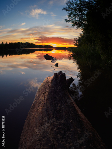 Colorful sunset on the river, tree trunk in the water, selective focus.