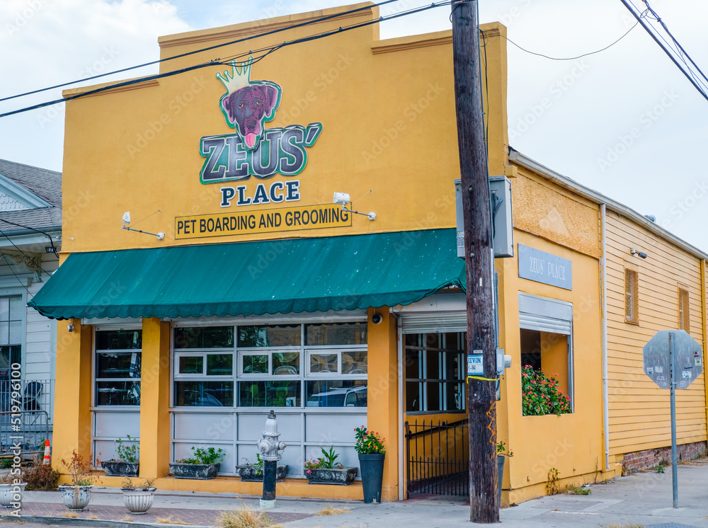 Foto de Zeus' Place Pet Boarding and Grooming on Freret Street on June