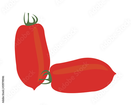 Tomatoes vector illustration 