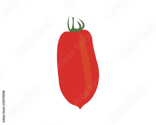 Tomato vector illustration 