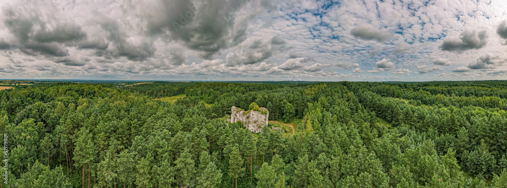 ostaniec wapienny na Jurze Krakowsko-Częstochowskiej na Śląsku w Polsce, panorama z lotu ptaka latem