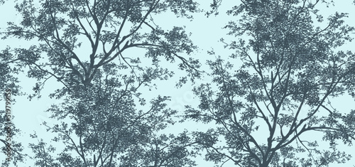 outlines of forest trees, interlacing branches and leaves against the sky. Seamles vector pattern