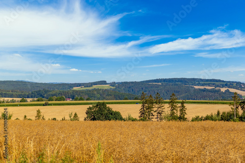 Summer landscape with fields and blue sky