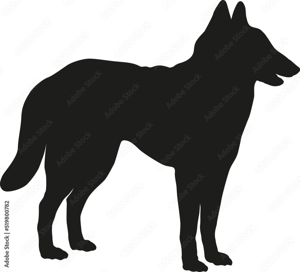 Standing belgian sheepdog puppy. Malinois. Black dog silhouette. Pet animals. Isolated on a white background. Vector illustration.