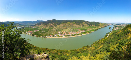 Vineyards by the Danube river in Wachau valley. Lower Austria.