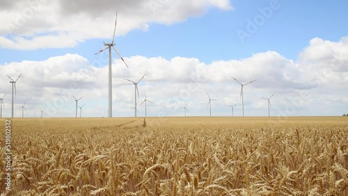 Scenic landscape view of wheat field harvest and big modern wind turbine mill farm against beautiful clouds blue sky. Food production and clean green renewable sustainable energy generation concept