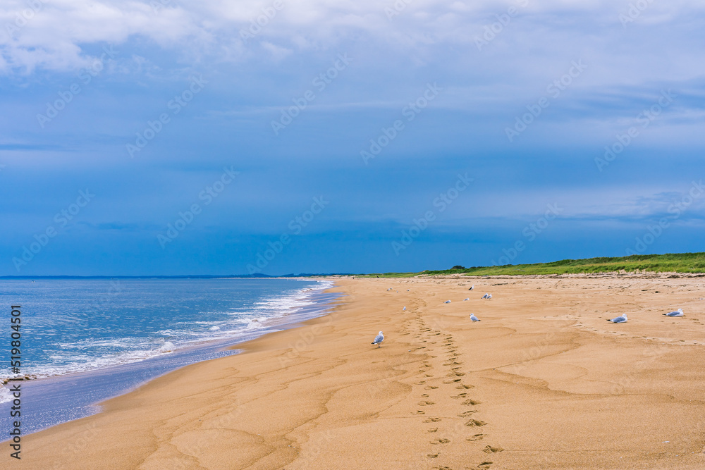 Plum Island Beach as a beautiful New England barrier island on the northeast coast of Massachusetts. Natural beauty of the Parker River National Wildlife Refuge