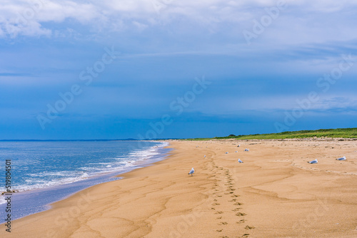 Plum Island Beach as a beautiful New England barrier island on the northeast coast of Massachusetts. Natural beauty of the Parker River National Wildlife Refuge