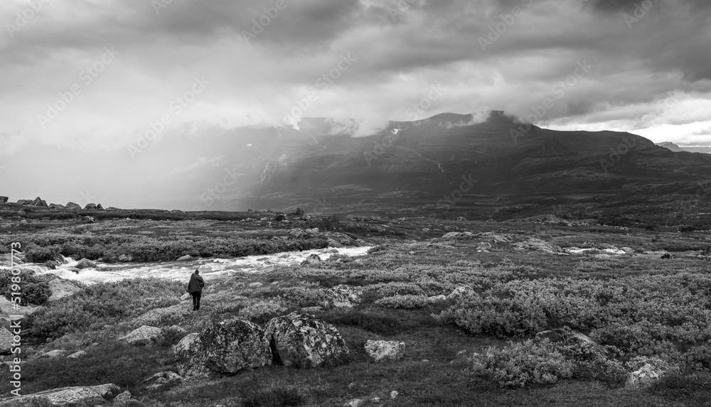Black and white shot of female hiker with heavy backpack looking for a place to cross wild river in arctic landscape of Stora Sjofallet National Park, Sweden, on a rainy day. Rain in the arctic.