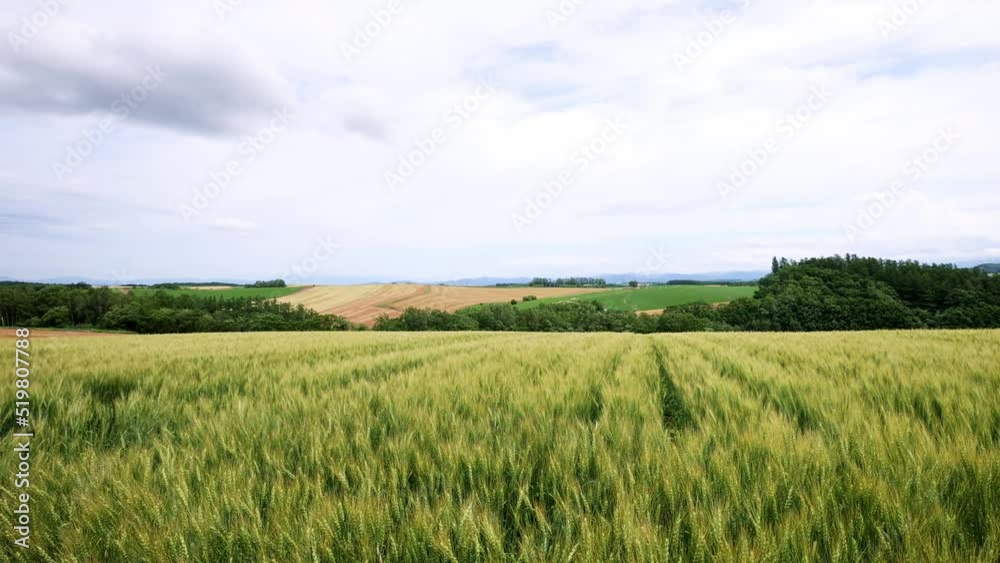 Magnificent view of Biei district, Hokkaido Magnificent view of Biei district, Hokkaido
