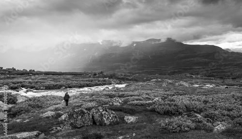 Black and white shot of female hiker with heavy backpack looking for a place to cross wild river in arctic landscape of Stora Sjofallet National Park, Sweden, on a rainy day. Rain in the arctic.