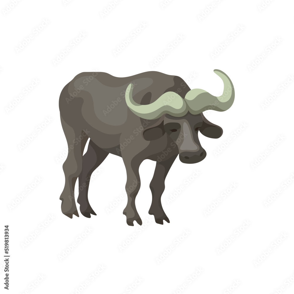 Bufallo Design Very Cool Bufallo Design Very Cool