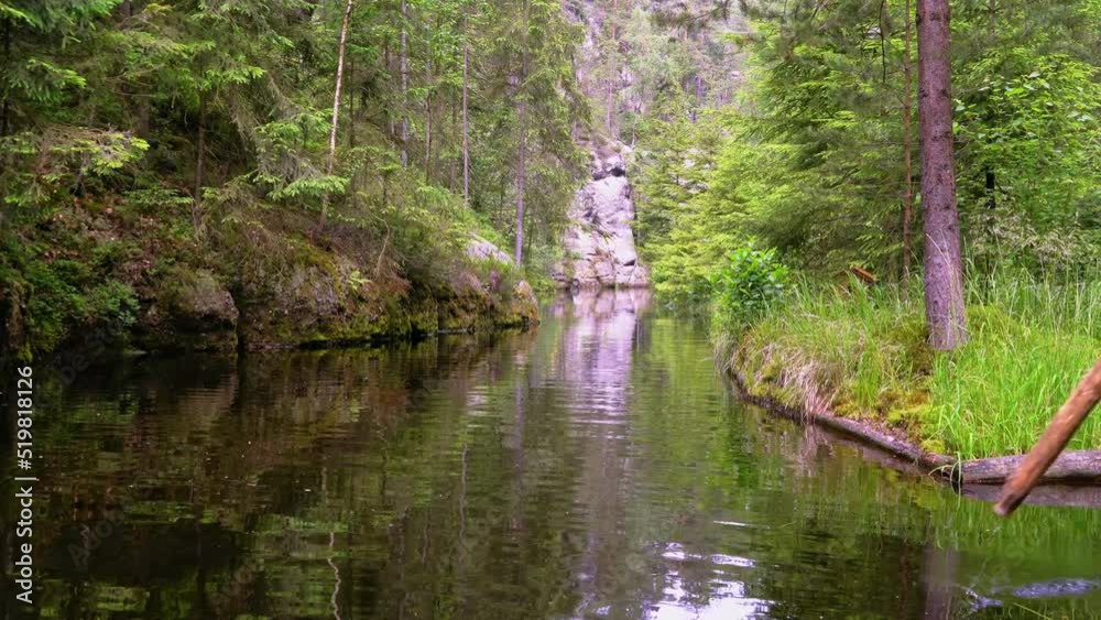 Quiet ride along a small overgrown island on a narrow lake Quiet ride along a small overgrown island on a narrow lake