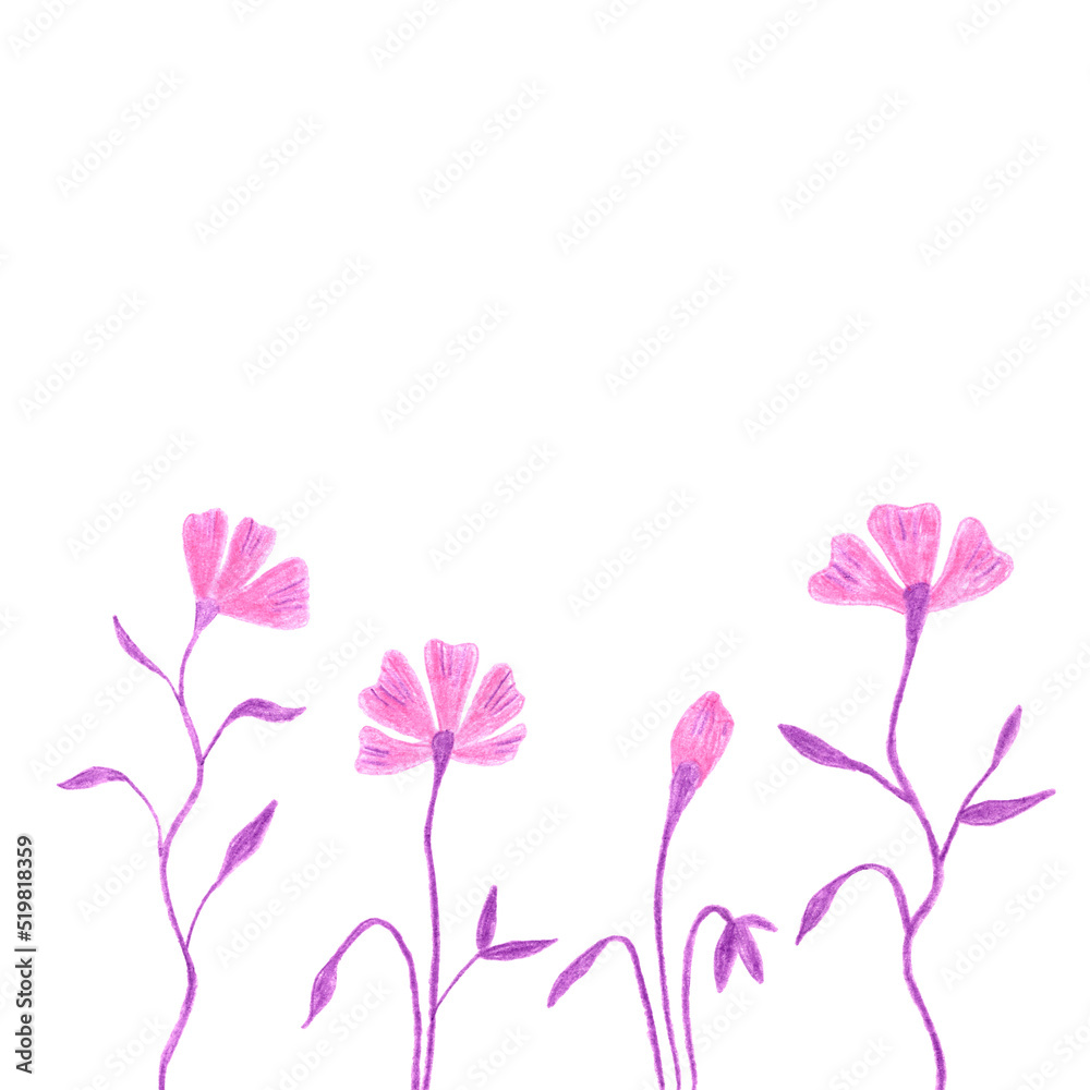 Illustration of decorative flowers hand drawn with colored pencils isolated on white background