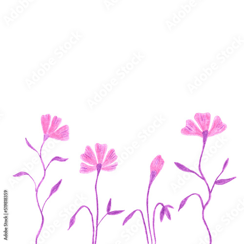 Illustration of decorative flowers hand drawn with colored pencils isolated on white background