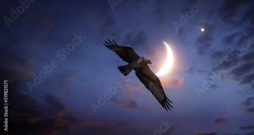 a silhouette flying in the blue moon night sky
