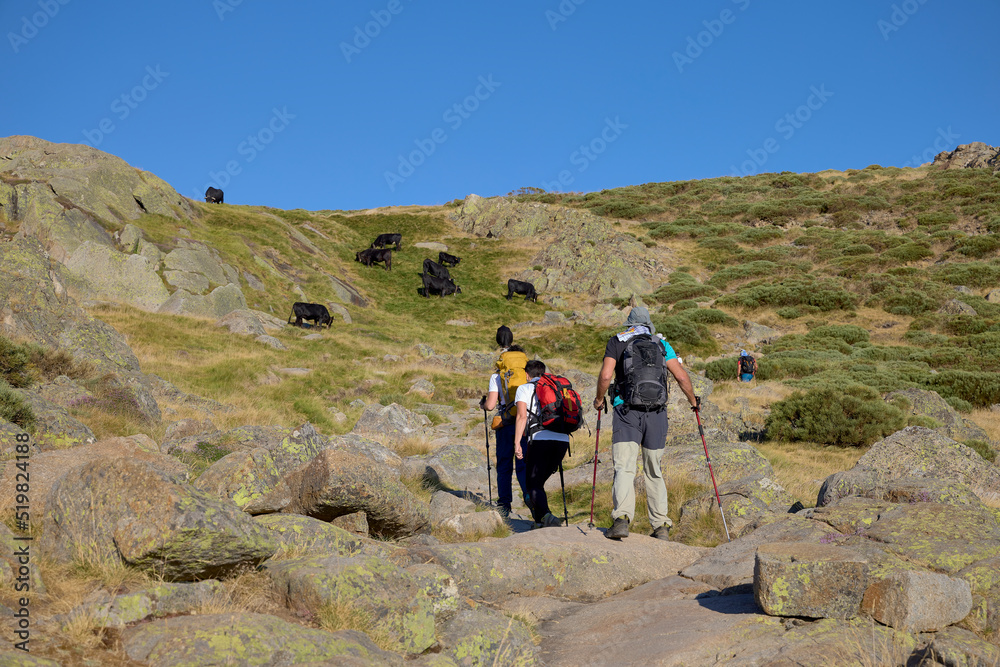 Sierra de Gredos, July 21, 2022. Mountaineers. Several mountaineers climb a mountain in the Central System of Spain