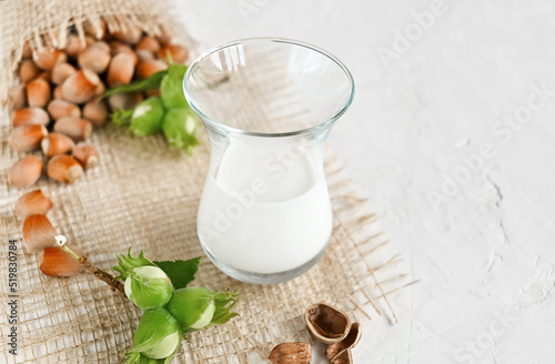 Hazelnut non dairy milk in a glass and hazelnuts on a burlap, copy space. 