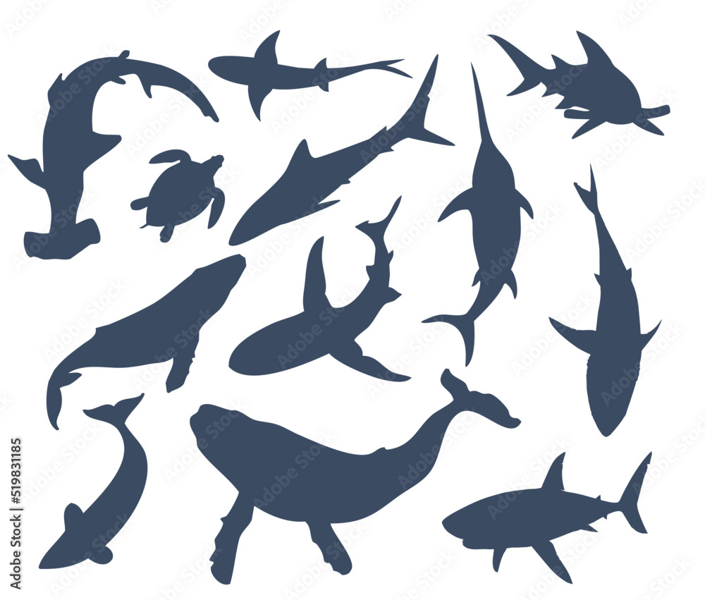Obraz premium Set of different fish. A large set of underwater inhabitants