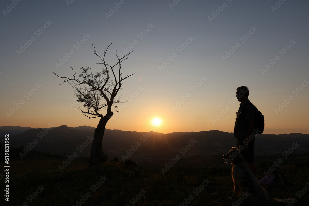 silhouette of man and his dog looking sunset from the top of the hill silhouette of man and his dog looking sunset from the top of the hill