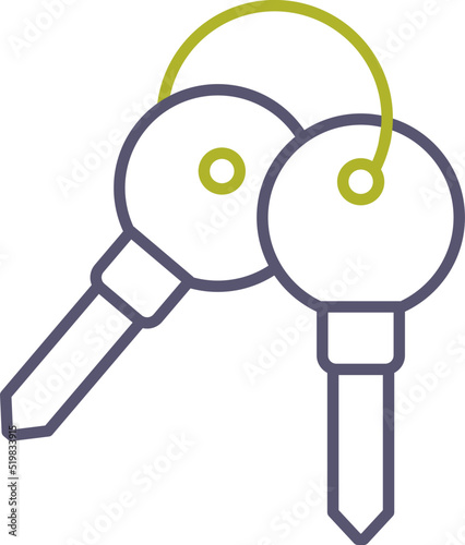 Keys Vector Icon