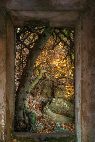 semaforo di punta falcone, stained window in a an old fortress on capo testa, santa teresa di gallura, sardinia