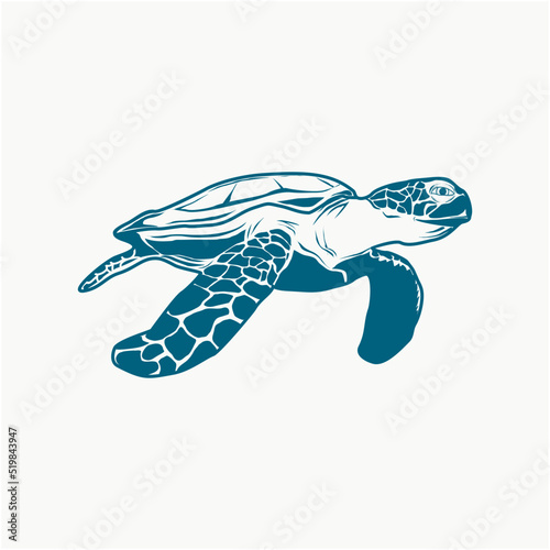 illustration of a turtle
