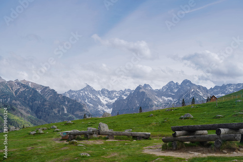 sheep on the background of beautiful mountains