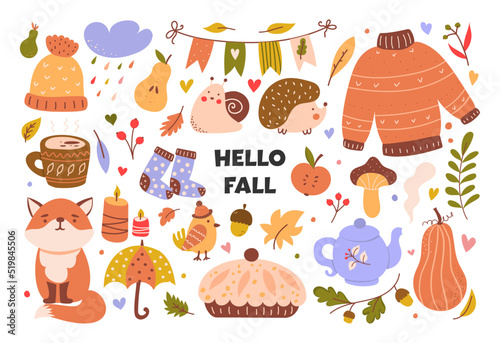 Cozy autumn set of cute design elements. Set of autumn branches with leaves, foliage, berries, pumpkins, sweater, socks and animals. Colored flat vector illustration.
