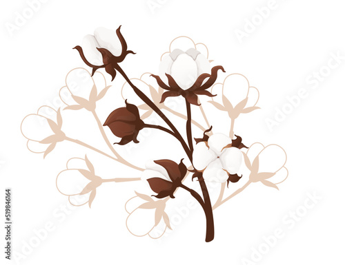 Big cotton flower branch vector illustration isolated on white background