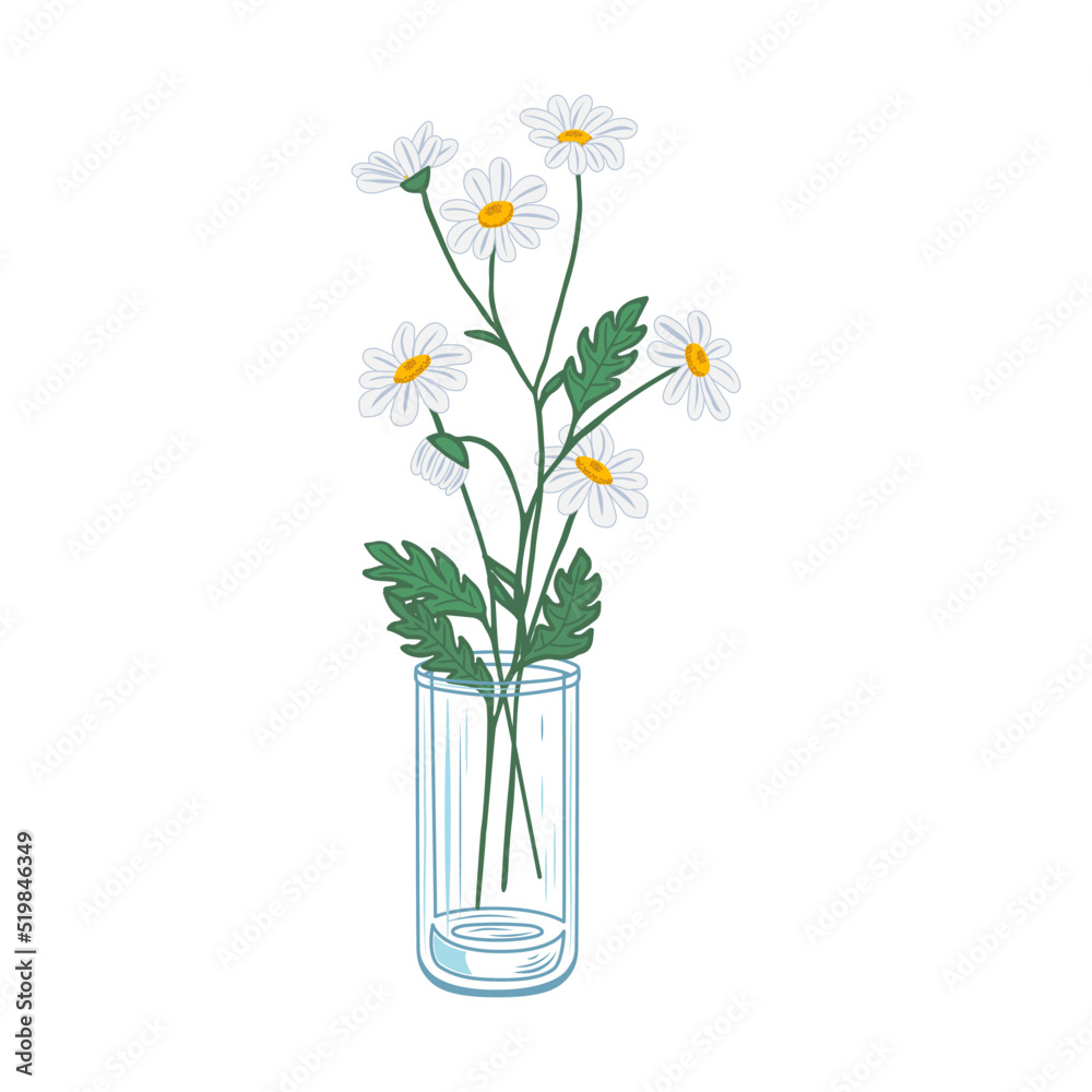 Obraz premium Chamomile flowers in a glass vase hand drawn vector illustration