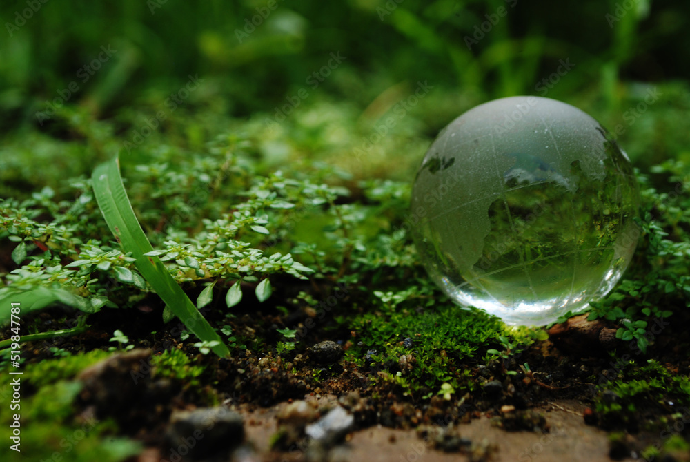 earth in the grass earth in the grass