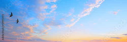 Tablou canvas abstract beautiful peaceful summer sky background; sunrise new day and flying fl