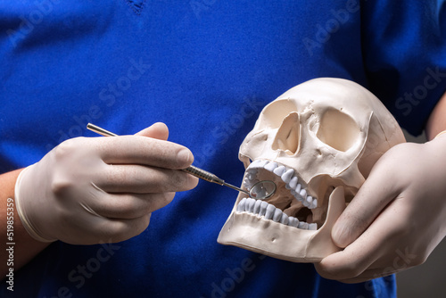 Treatment of toothache. Doctor dentist holds a plastic human skull and a mirror.