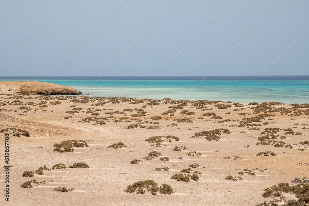 lonely beach at the red sea in egypt