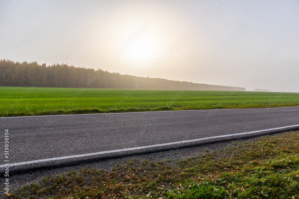 Fototapeta premium road in the sunset in autumn