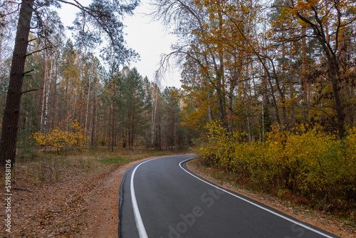 winding road in autumn forest