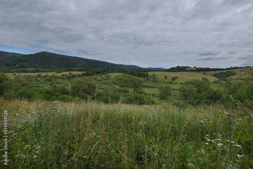 Krywe to dawna wioska w samym sercu Bieszczad z  której zachowały się tylko ruiny i łąki .
Opuszczone dawne pola i łąki- dzisziejszy krajobraz wioski Krywe