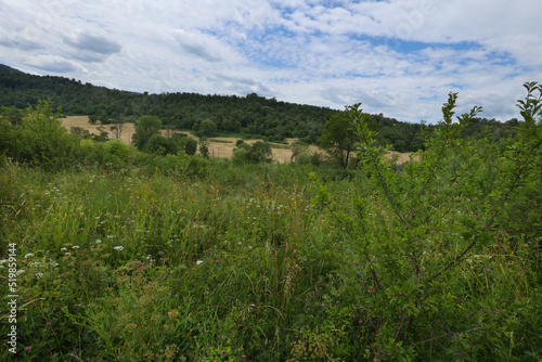 Krywe to dawna wioska w samym sercu Bieszczad z której zachowały się tylko ruiny i łąki . Opuszczone dawne pola i łąki- dzisziejszy krajobraz wioski Krywe