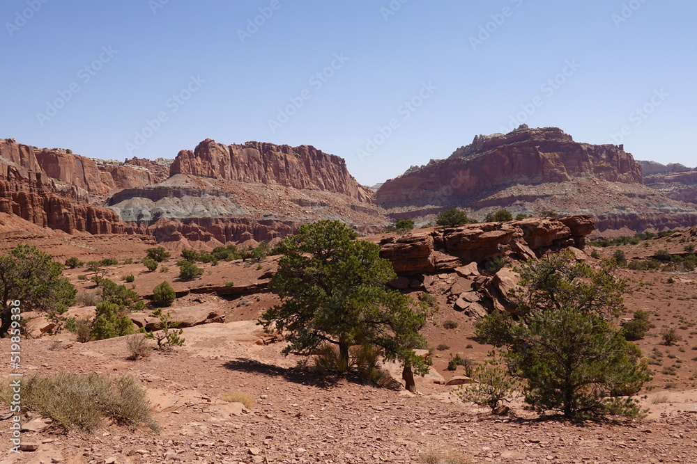 Fototapeta premium Capitol Reef National Park