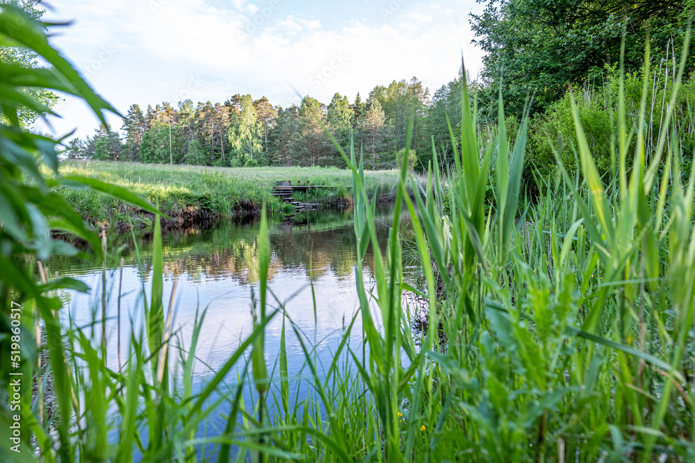 View to river surrounded by meadow and trees and blue sky in background with green grass in the foreground. View to river surrounded by meadow and trees and blue sky in background with green grass in the foreground.