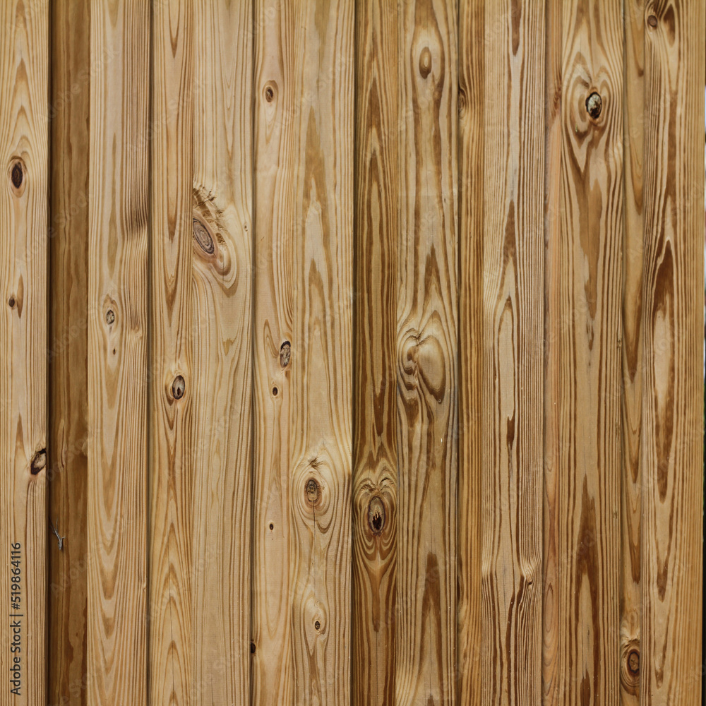 Fototapeta premium Wood wall background or texture. Natural pattern wood background