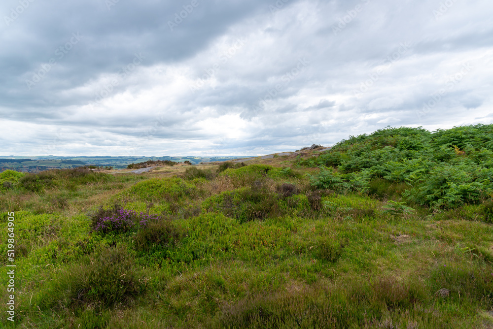 Fototapeta premium National Park Peak District in England, Curbar Edge 2022.