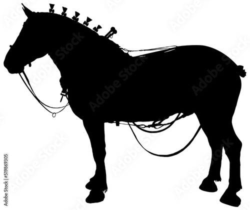 silhouette of a Percheron horse with driving tack  photo
