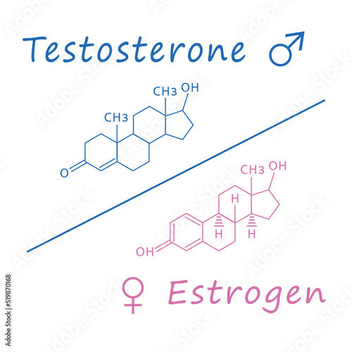 Chemical molecular formula hormone testosterone and estrogen. Male and female sex hormone. photo