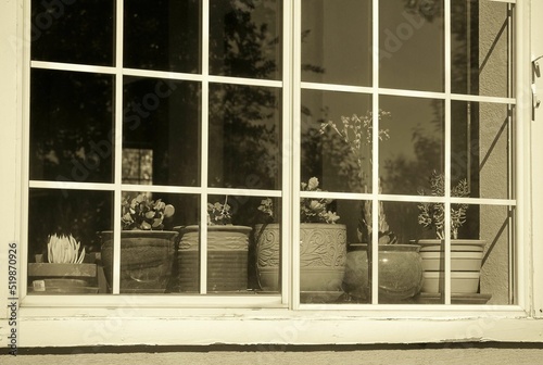 houseplants