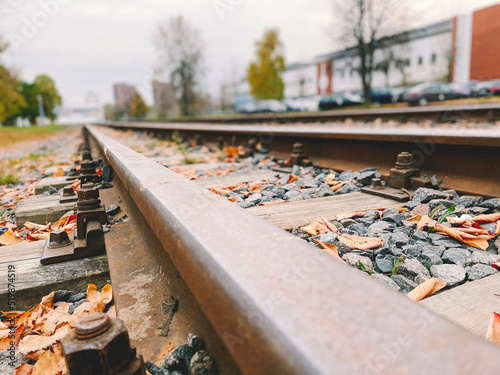 old  abandoned railroad. stones and yellowed leaves on the metal rails. the rails are fixed with strong metal bolts to the ground