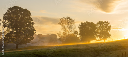 Gorgeous misty morning sunrise over a hill in the beautiful farmland of Amish country with trees dotting the landscape